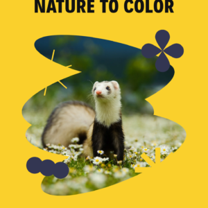 KIDS COLORING BOOKS